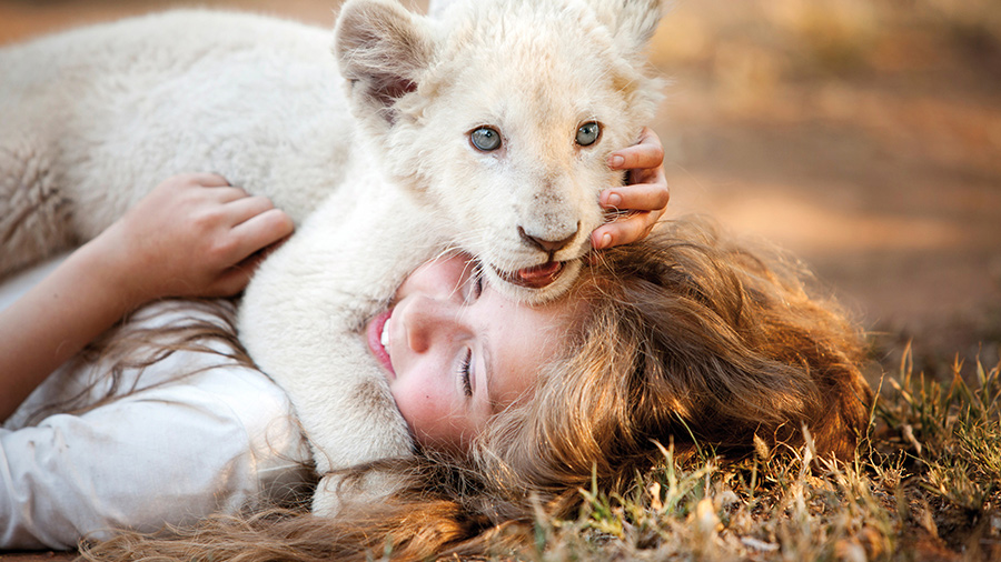 Filmowe Lato - Bilet 11zł: Mia i biały lew