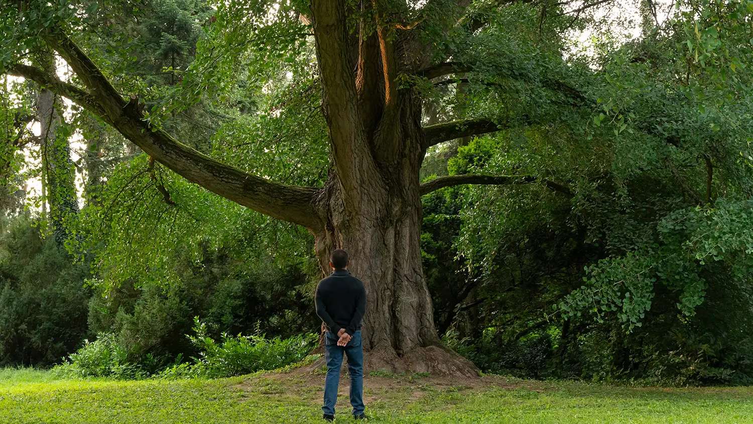 Milcząca przyjaciółka - pokaz z dyskusją psychologiczną