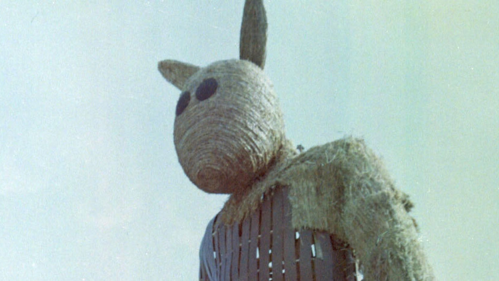 KINO LETNIE 2026: Miś (1981)