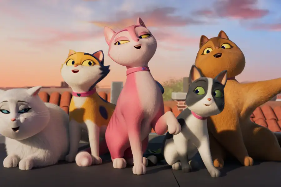 Miss Moxy. Kocia ekipa - dubbing