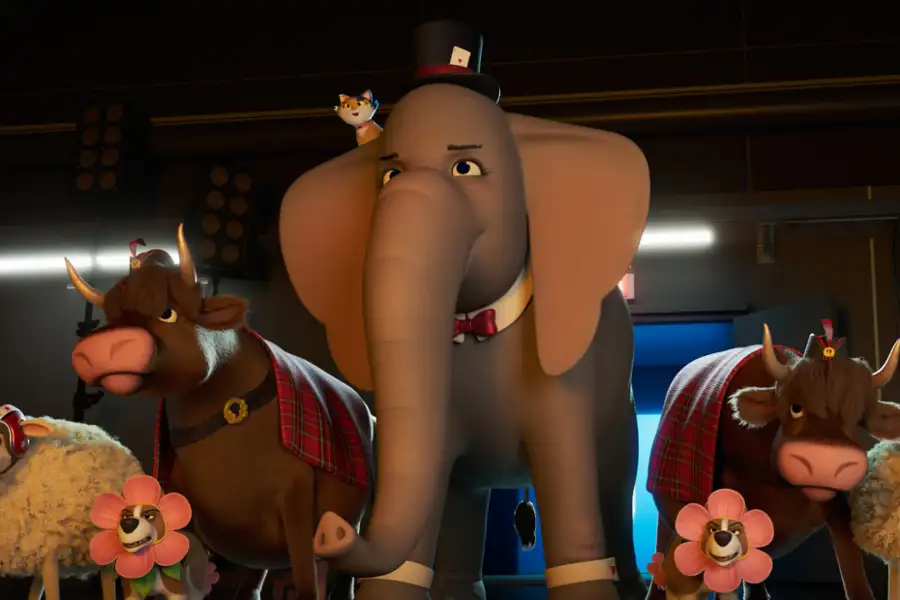 Miss Moxy. Kocia ekipa - dubbing