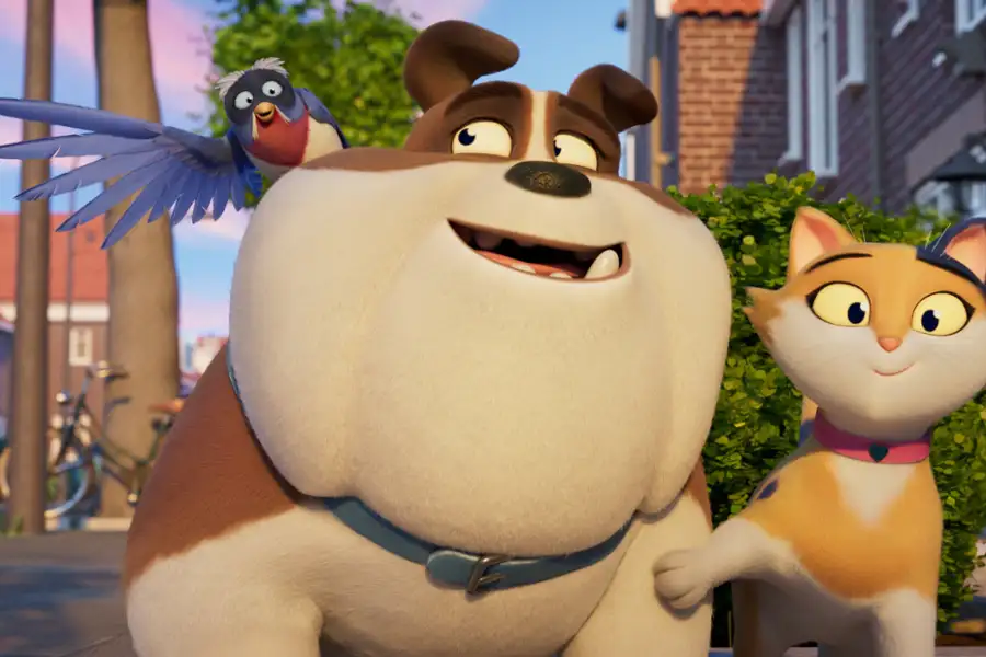 Miss Moxy. Kocia ekipa - dubbing