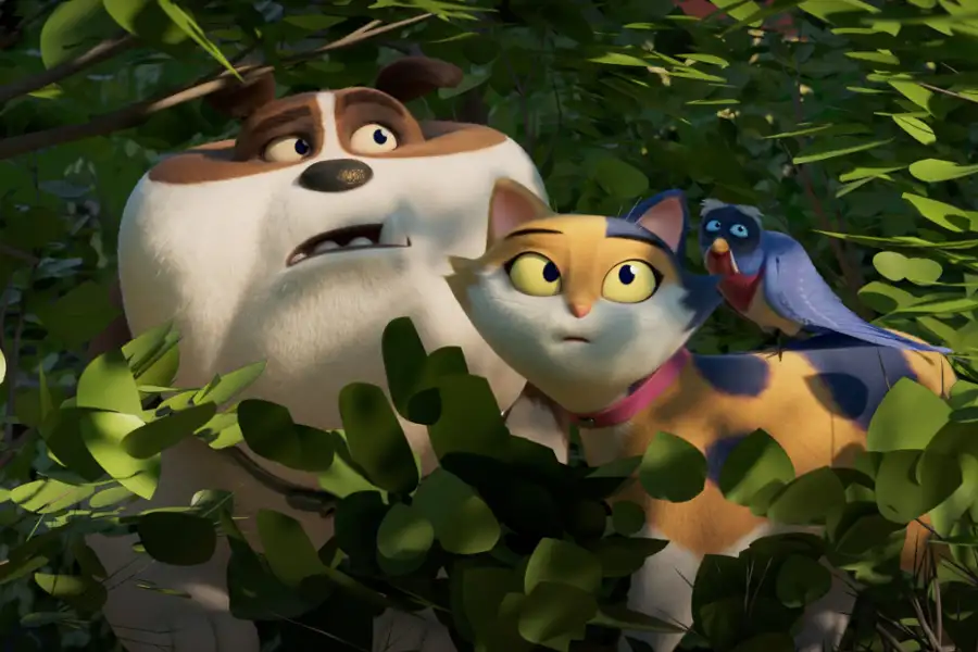 Miss Moxy. Kocia ekipa - dubbing