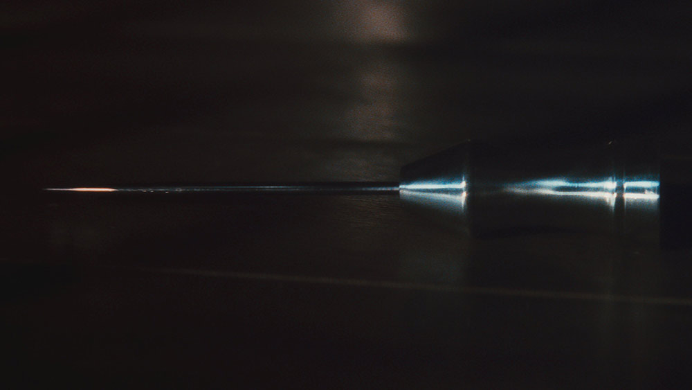 Nagi instynkt - pokaz specjalny