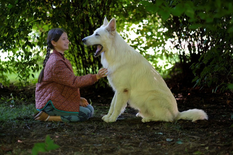 Bajkoranki: O psie, który jeździł koleją