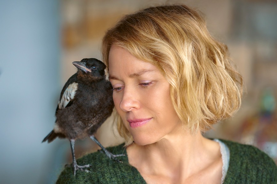 Kobiecy świat: Penguin Bloom: Niesamowita historia Sam Bloom - przedpremiera
