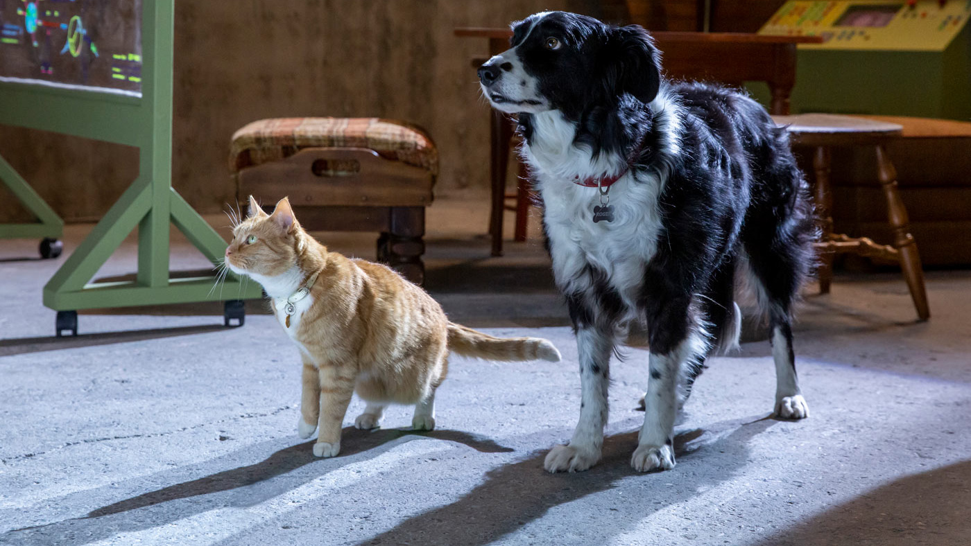 Bajkoranki: Psy i koty 3: Łapa w łapę - dubbing