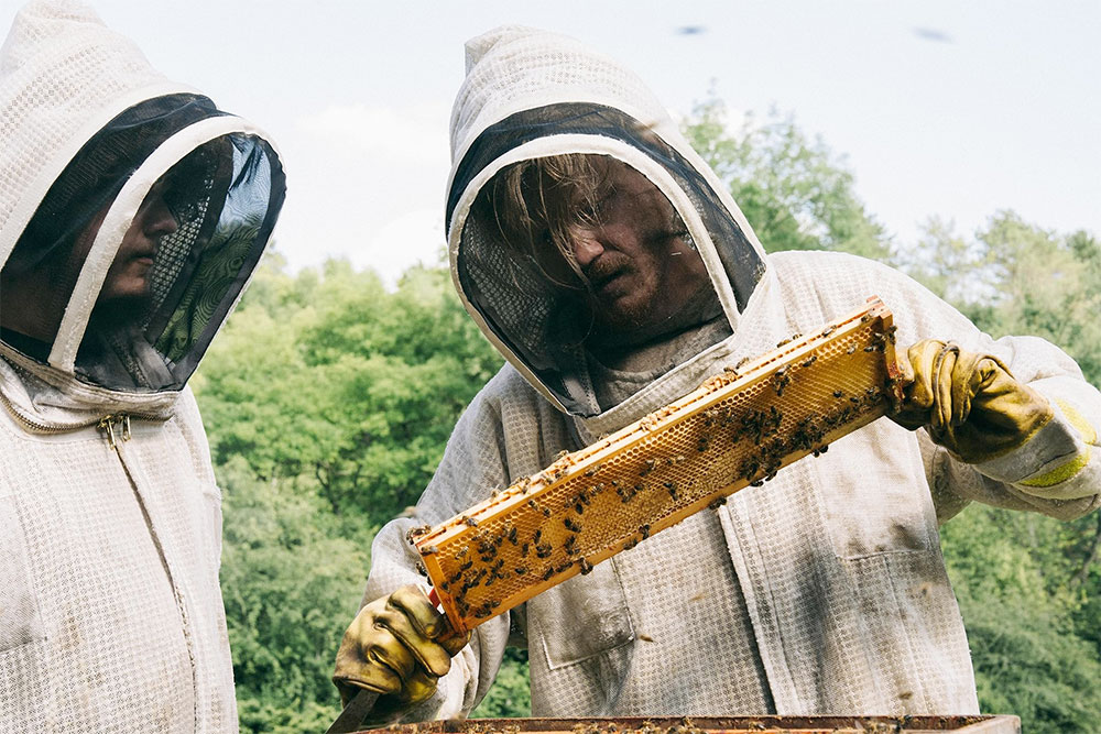 Strasznie Fajne Filmy: Bugonia – przedpremiera