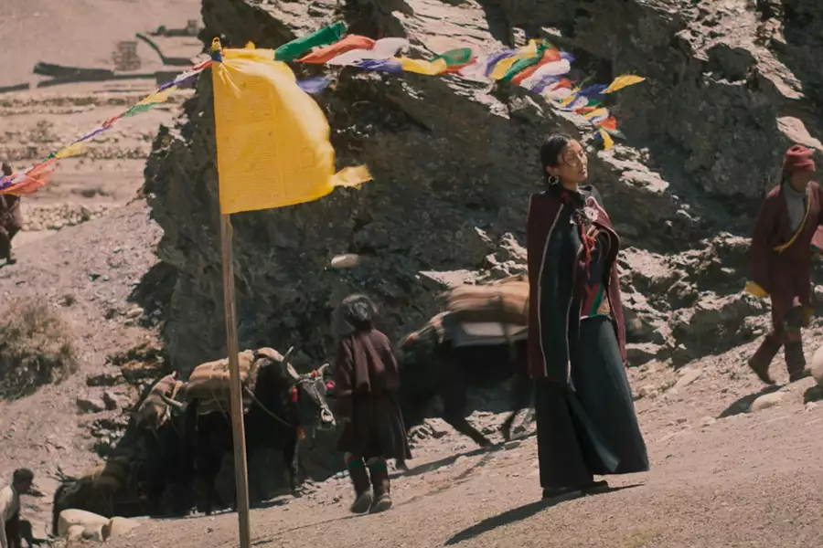 Filmoterapia: Shambhala