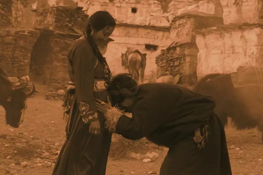 Filmoterapia: Shambhala