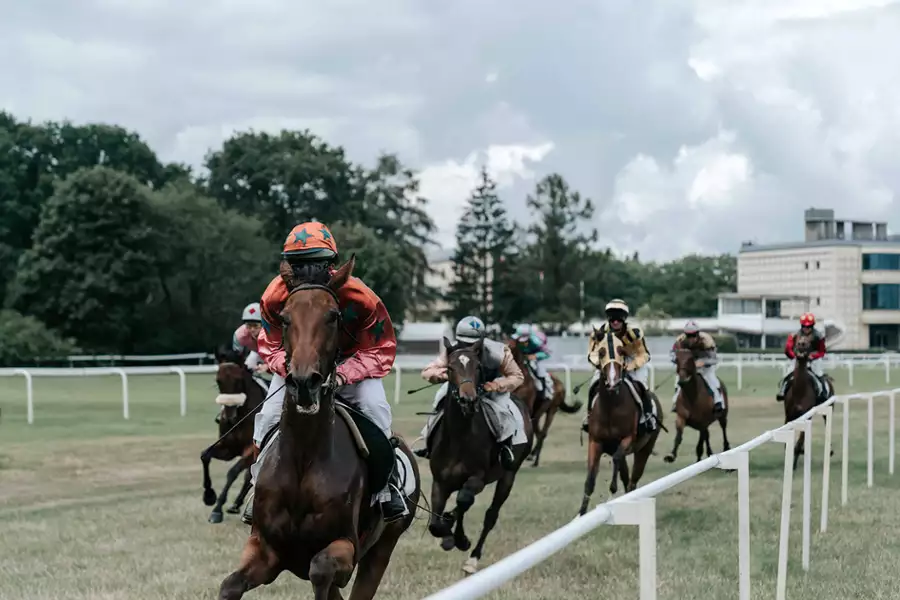 SYLWESTROWY MARATON FILMOWY W NOVEKINO SIEDLCE!