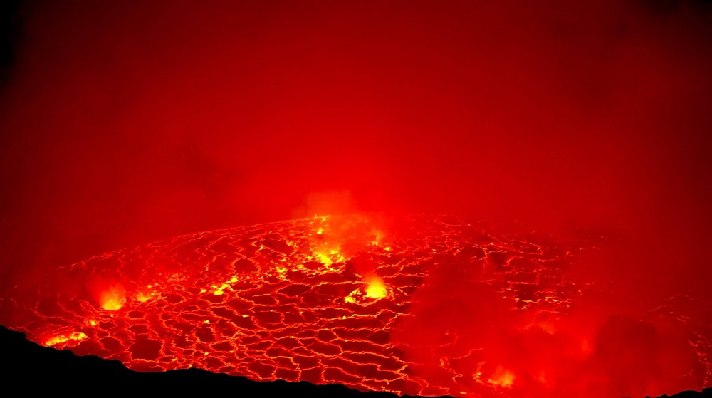 Slajdy podróżnicze: Ptaki i goryle. Afryka wschodnia i Kongo. Małgorzata i Wojciech Małolepszy