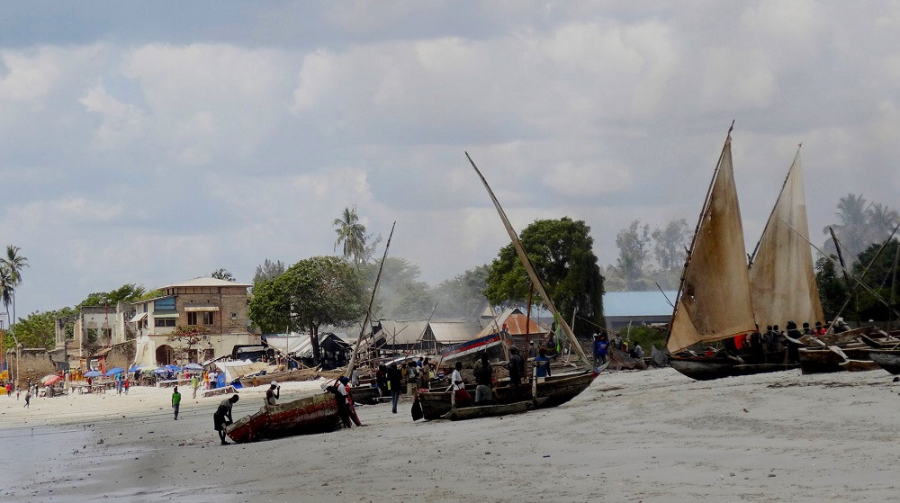 Slajdy podróżnicze: Ptaki i goryle. Afryka wschodnia i Kongo. Małgorzata i Wojciech Małolepszy