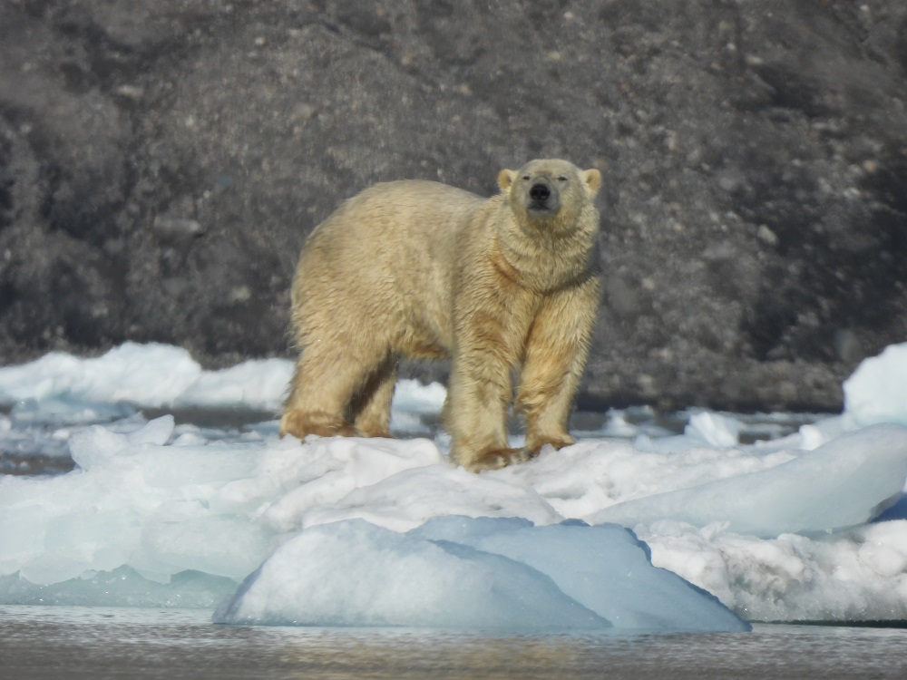 Slajdy podróżnicze: NA PÓŁNOC! Rejs przez smagane wichrem wyspy Atlantyku ze Szkocji na Svalbard. Piotr Gawlikowski