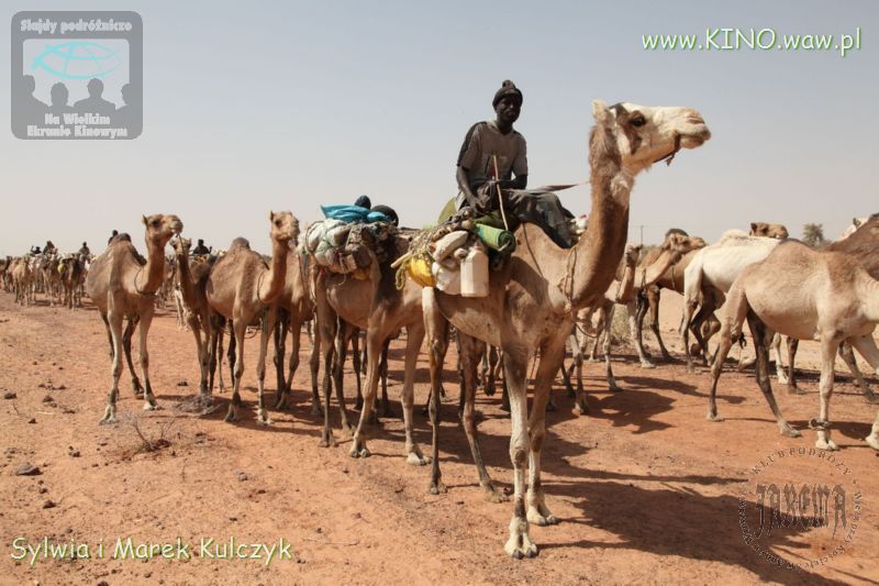 SLAJDYzPODRÓŻY: Niger - pozdrowienia z Sahelu