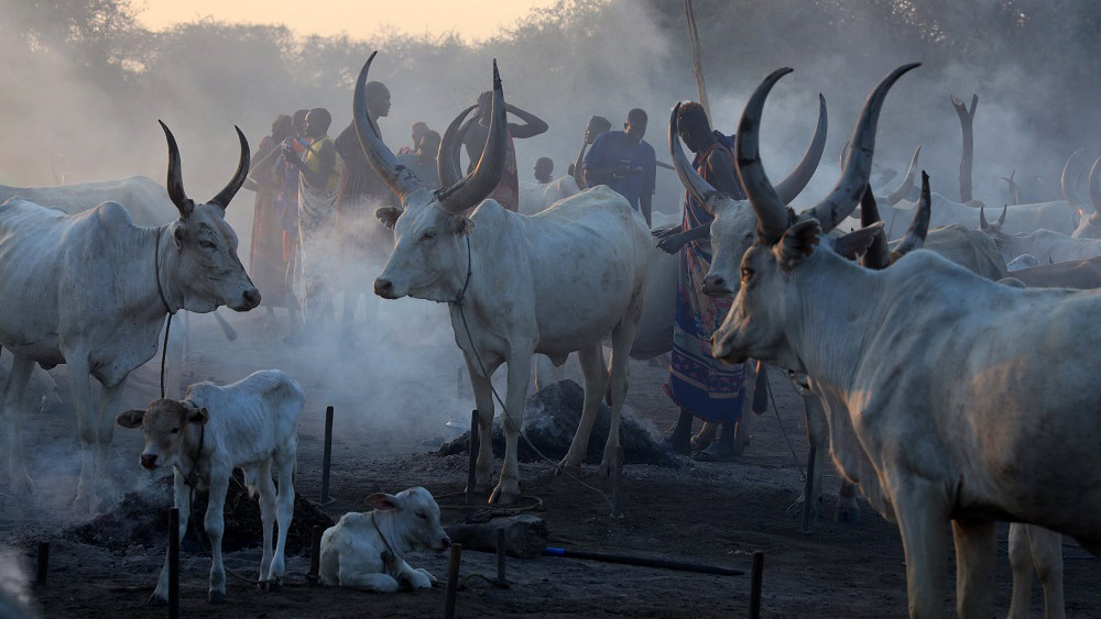 Slajdy podróżnicze: Sudan Południowy - Wśród Łowców Krów - Anna i Dariusz Piechowie