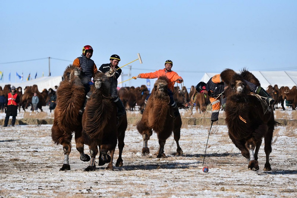 Slajdy podróżnicze: Zimowa Mongolia w dźwiękach końskiej grzywy. Anna Grebieniow