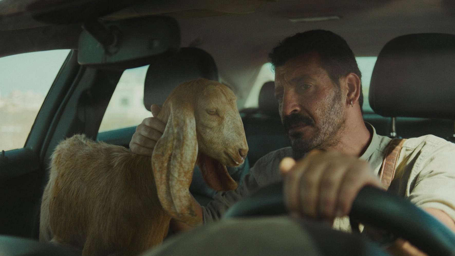 Studencki Festiwal Filmów Słowiańskich - Blok 2