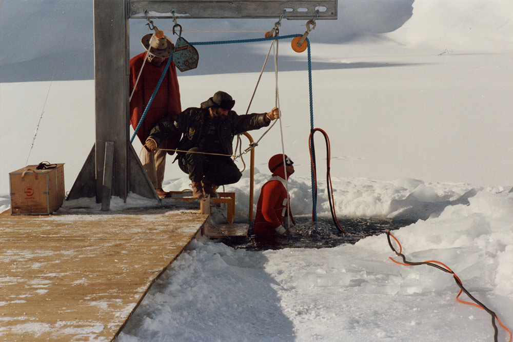 Wielki błękit – pokaz specjalny (wersja kinowa)