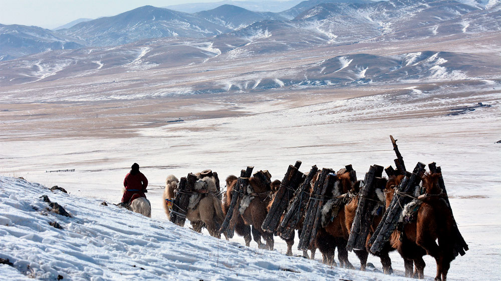 21. Festiwal TERRA: „Z wiatrem przez Mongolię”