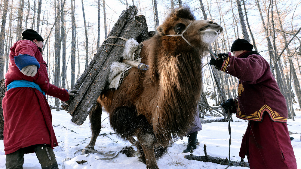 21. Festiwal TERRA: „Z wiatrem przez Mongolię”