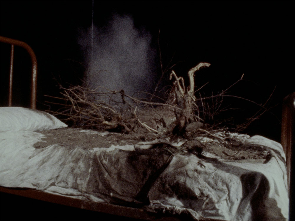 David Lynch: Krótkie metraże 1996 – 1995 – pokaz specjalny w kinie Wisła