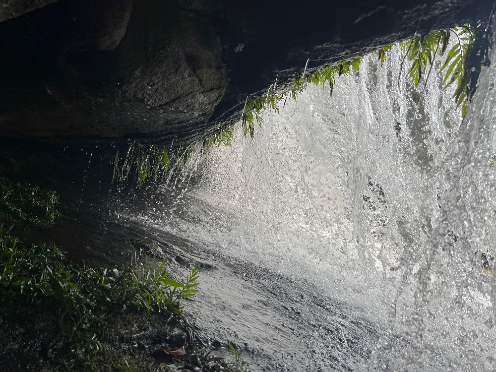 Slajdy podróżnicze: GWINEA - Tropem imperiów - Sylwia i Marek Kulczyk
