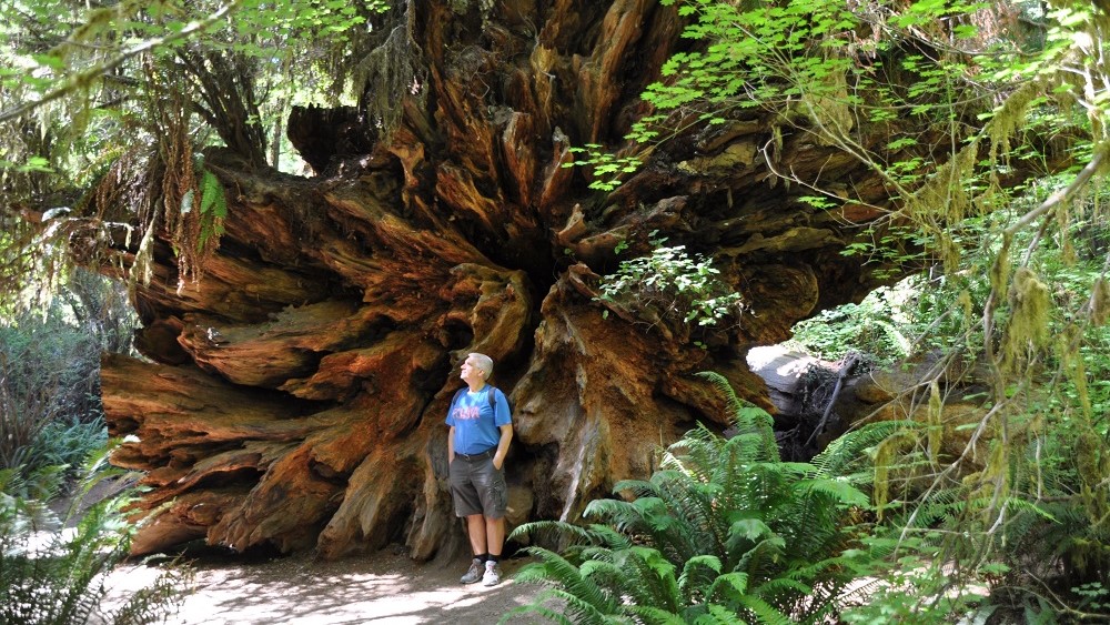 Slajdy podróżnicze: YELLOWSTONE i stany północno-zachodnie. Hela, Zosia, Iwona i Jurek Maronowscy