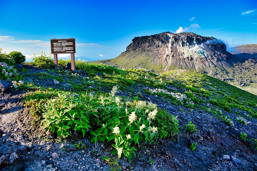 Wieczór japoński w kinie Wisła: Japonia, 20 lat później