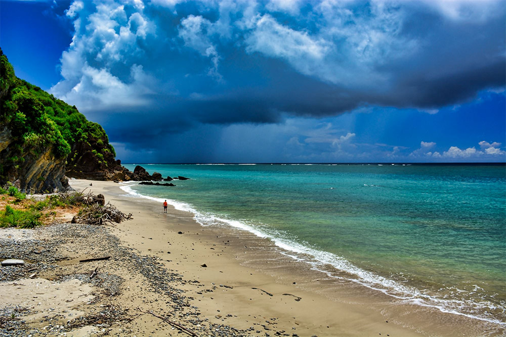 Wieczór japoński w kinie Wisła: Japonia, 20 lat później