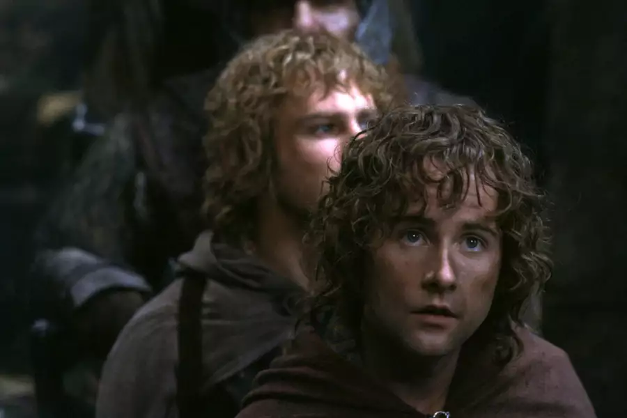 Władca Pierścieni: Drużyna Pierścienia - wersja reżyserska - napisy