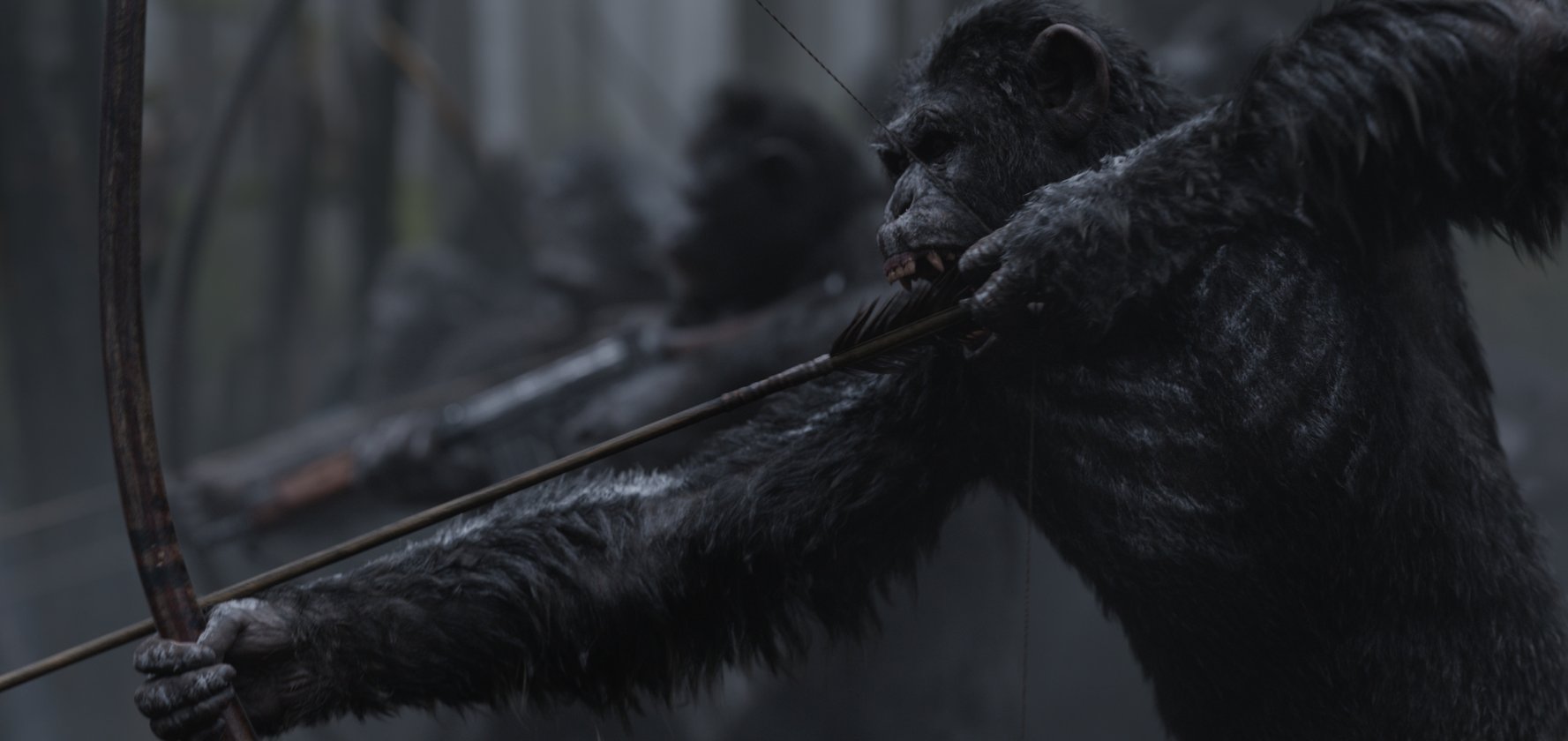 Przedpremiera: Wojna o planetę małp - napisy