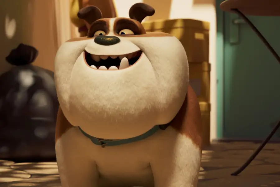 Zima w mieście: Miss Moxy. Kocia ekipa – dubbing