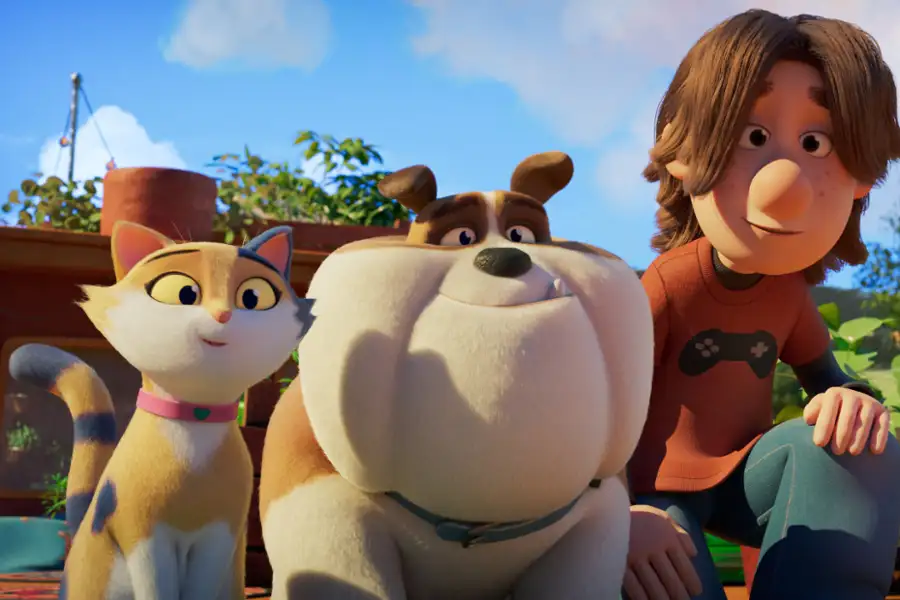 Zima w mieście: Miss Moxy. Kocia ekipa – dubbing