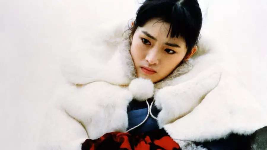 Zawieście czerwone latarnie - pokazy specjalne